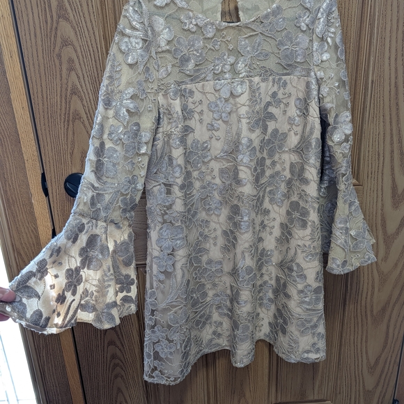 Badgley Mischka Dresses & Skirts - Badgley Mischka Ivory and Silver Floral Lace Wedding Dress